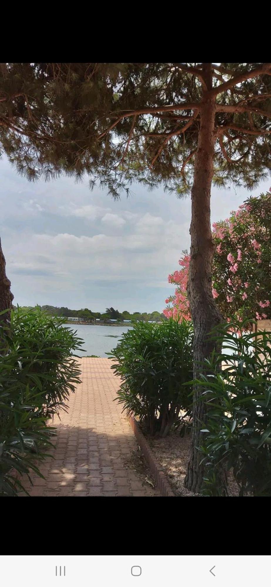 Villa 6P Piscine Spa Privatif Wifi Proche Des Plages Ле Баркарес Экстерьер фото